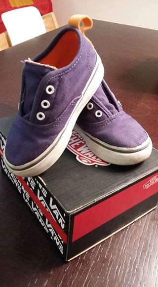 vans n 24 vans n 24