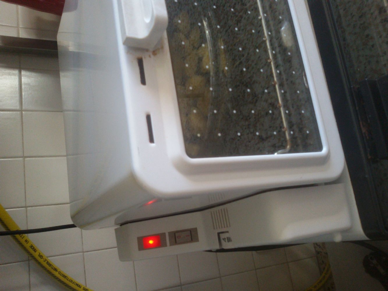 Baratto/Scambio: FORNETTO ELETTRICO [ Elettronica/Elettrodomestici] a  Reggio nell'Emilia (RE) - coseinutili.it