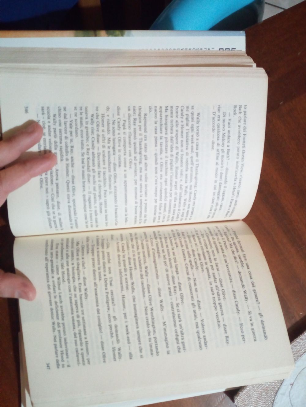 Le Regole Della Casa Del Sidro Libro Trama
