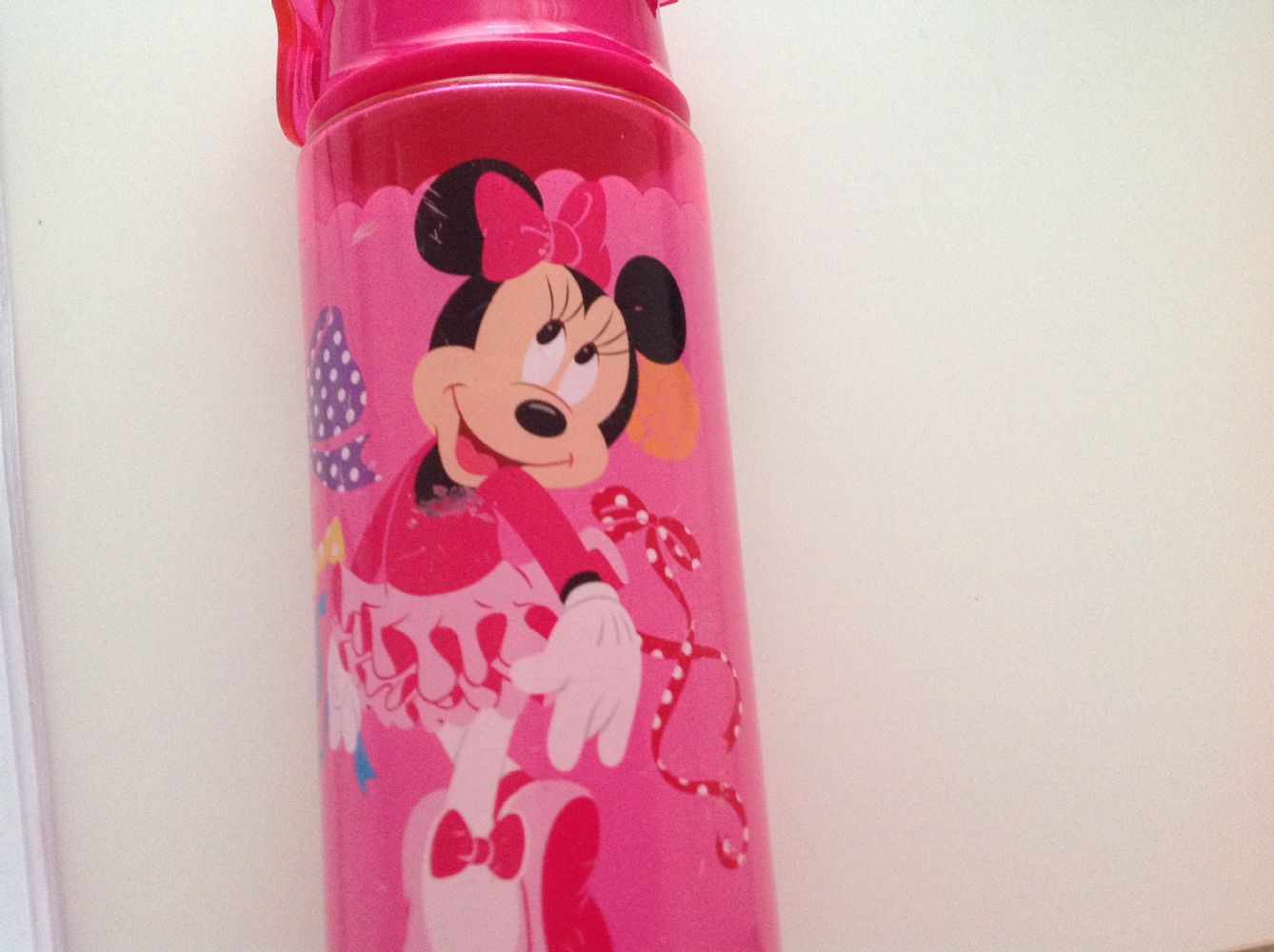 Baratto/Scambio: Borraccia Minnie Disney [ Bimbi/Accessori] a Bari (BA) 