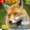 Rivista Focus Wild a Milano [MI]